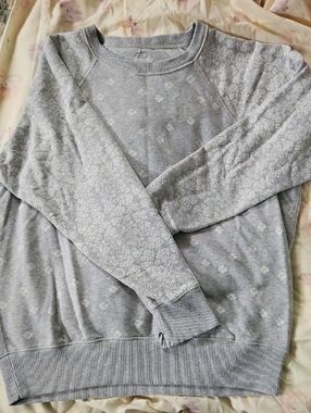 Aerie Light Gray Sweatshirt